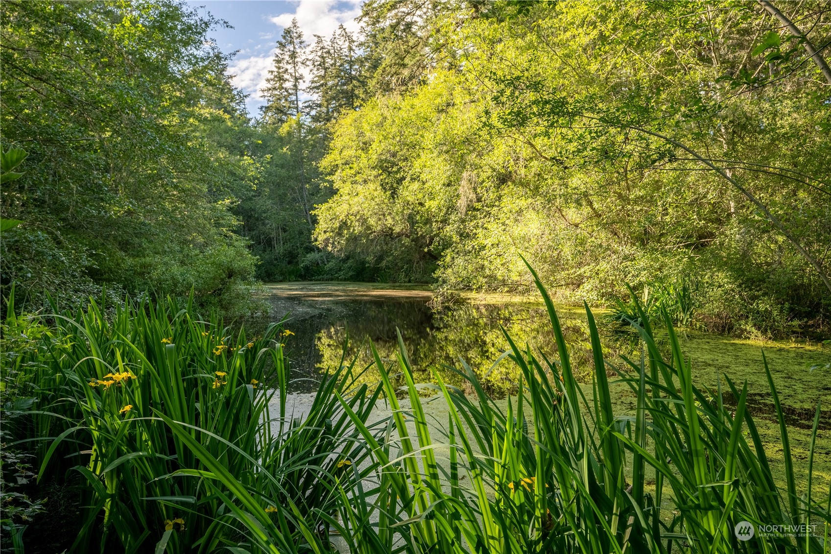 property viewer photo 29