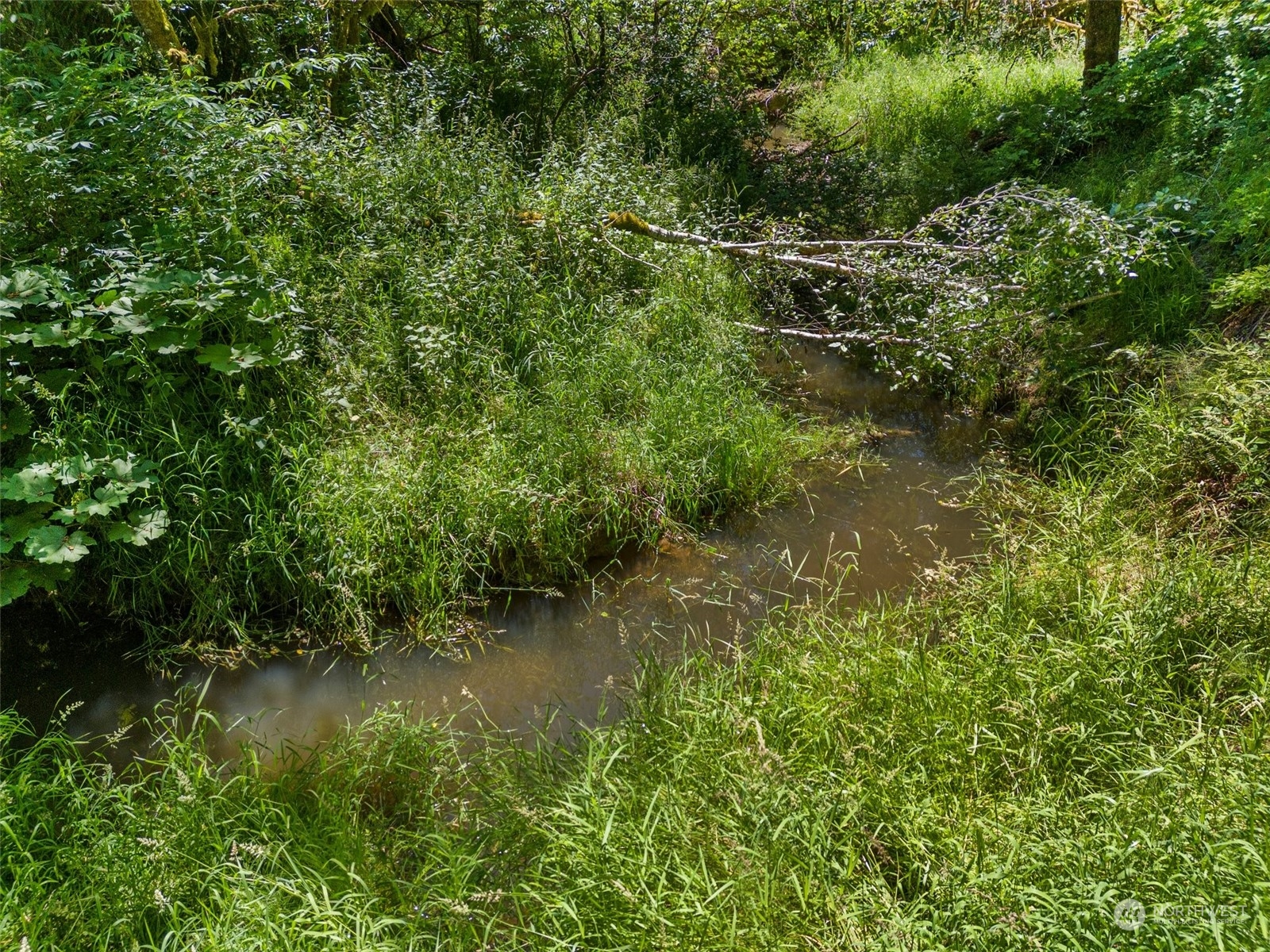 property viewer photo 8
