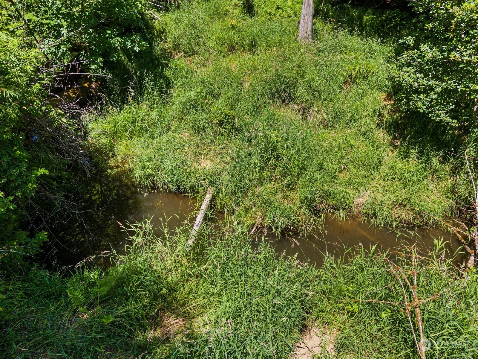 property viewer photo 9