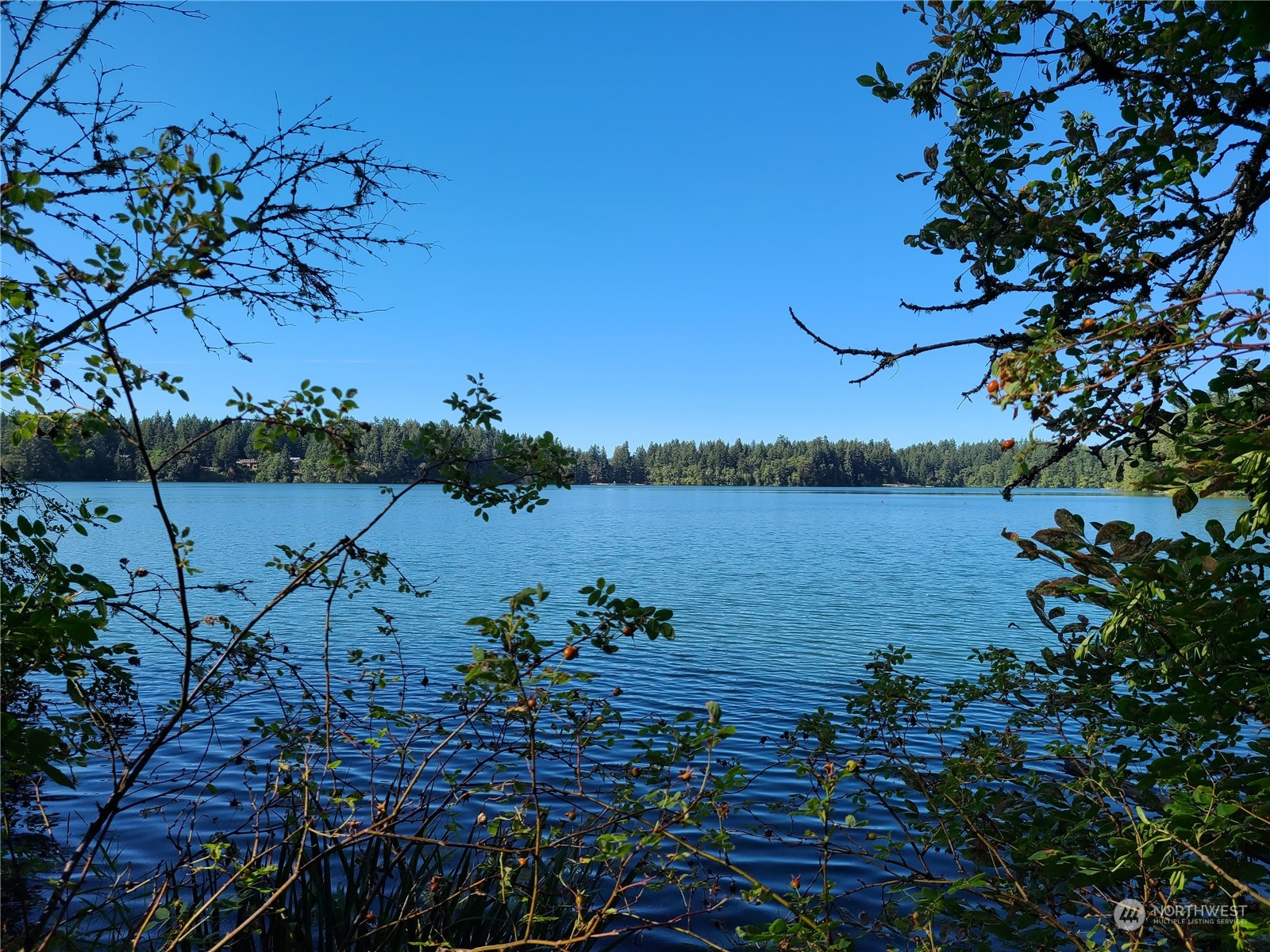 property viewer photo 29