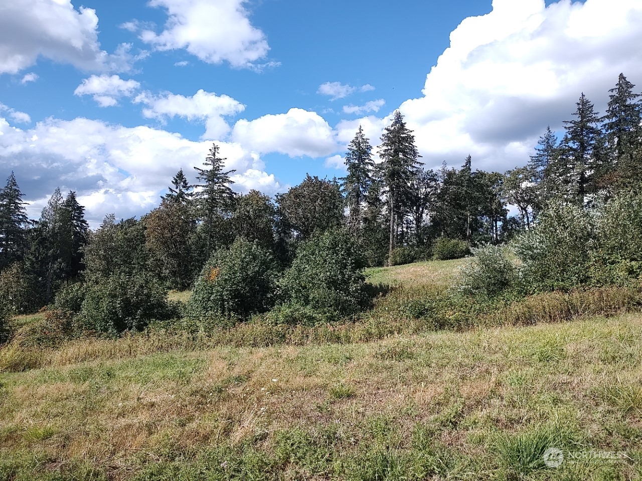 property viewer photo 11