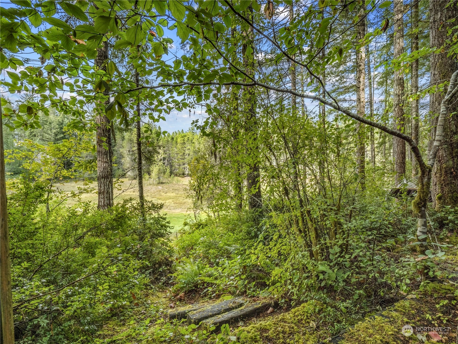 property viewer photo 14