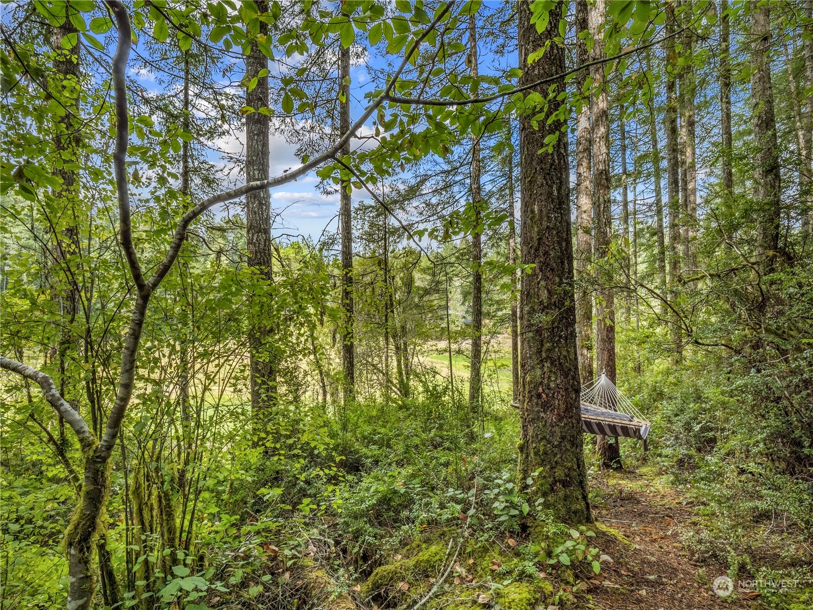 property viewer photo 15