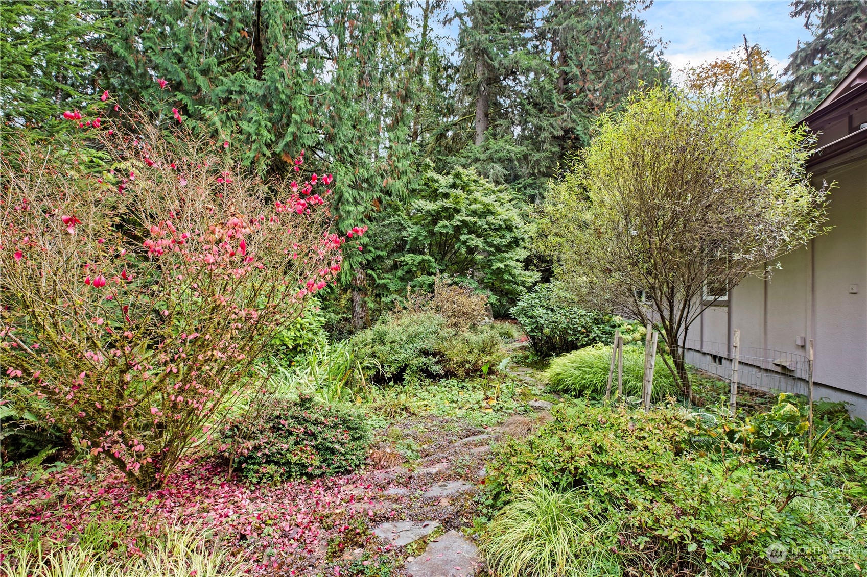 property viewer photo 37