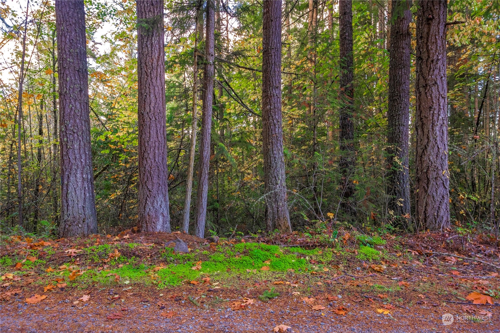 property viewer photo 11