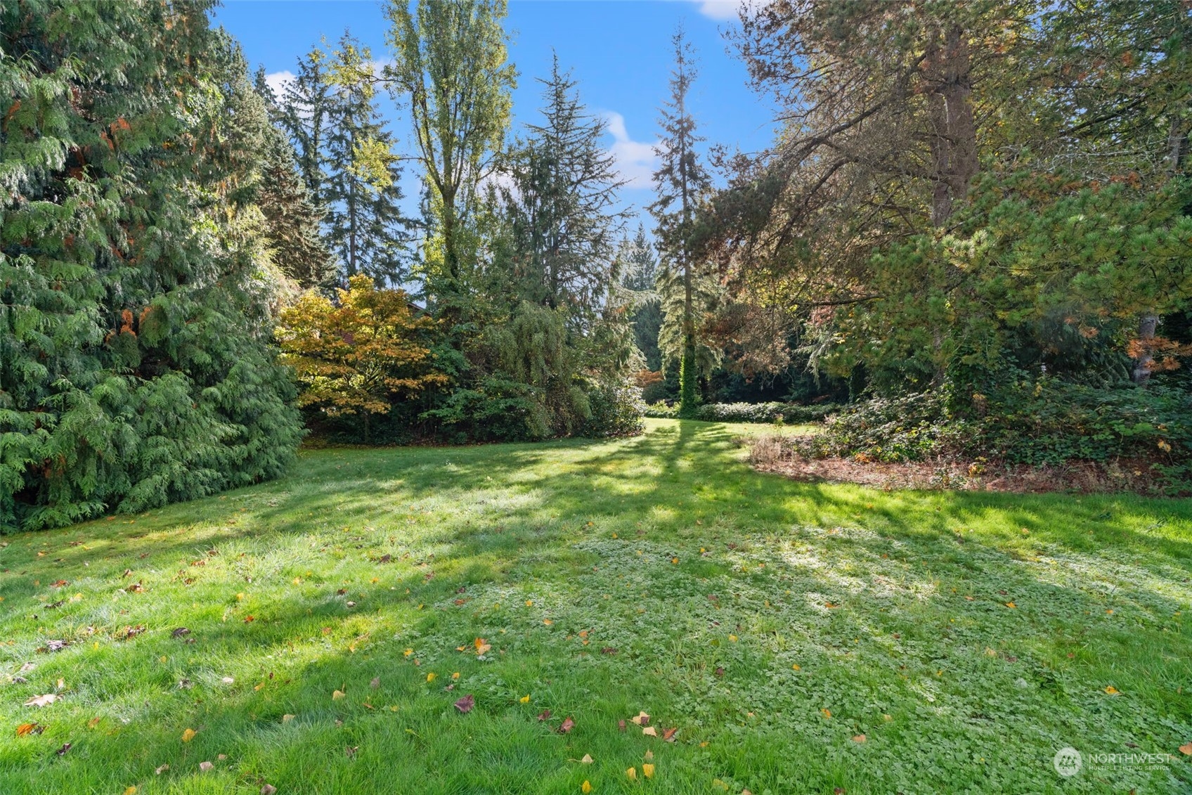 property viewer photo 4