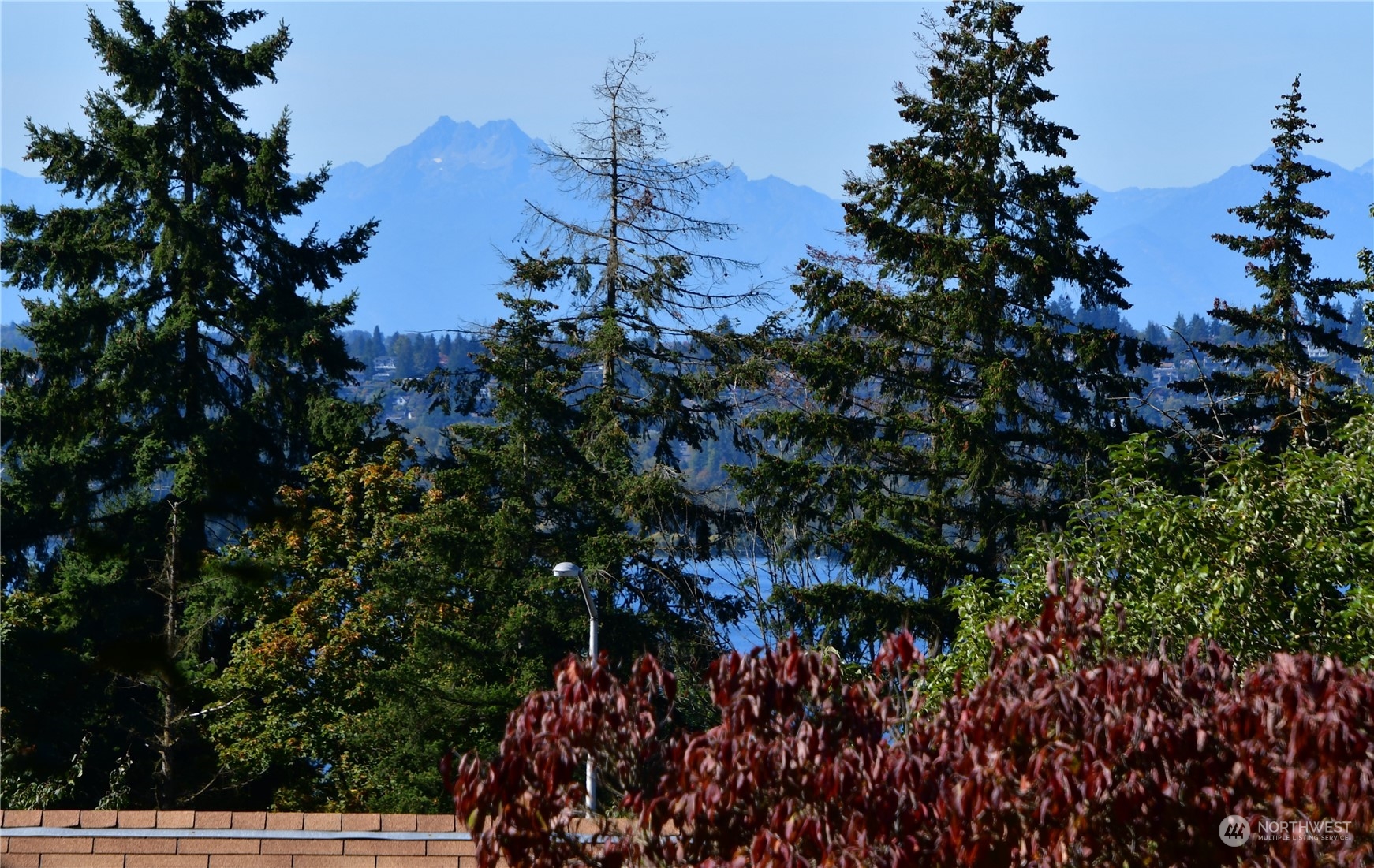 property viewer photo 7