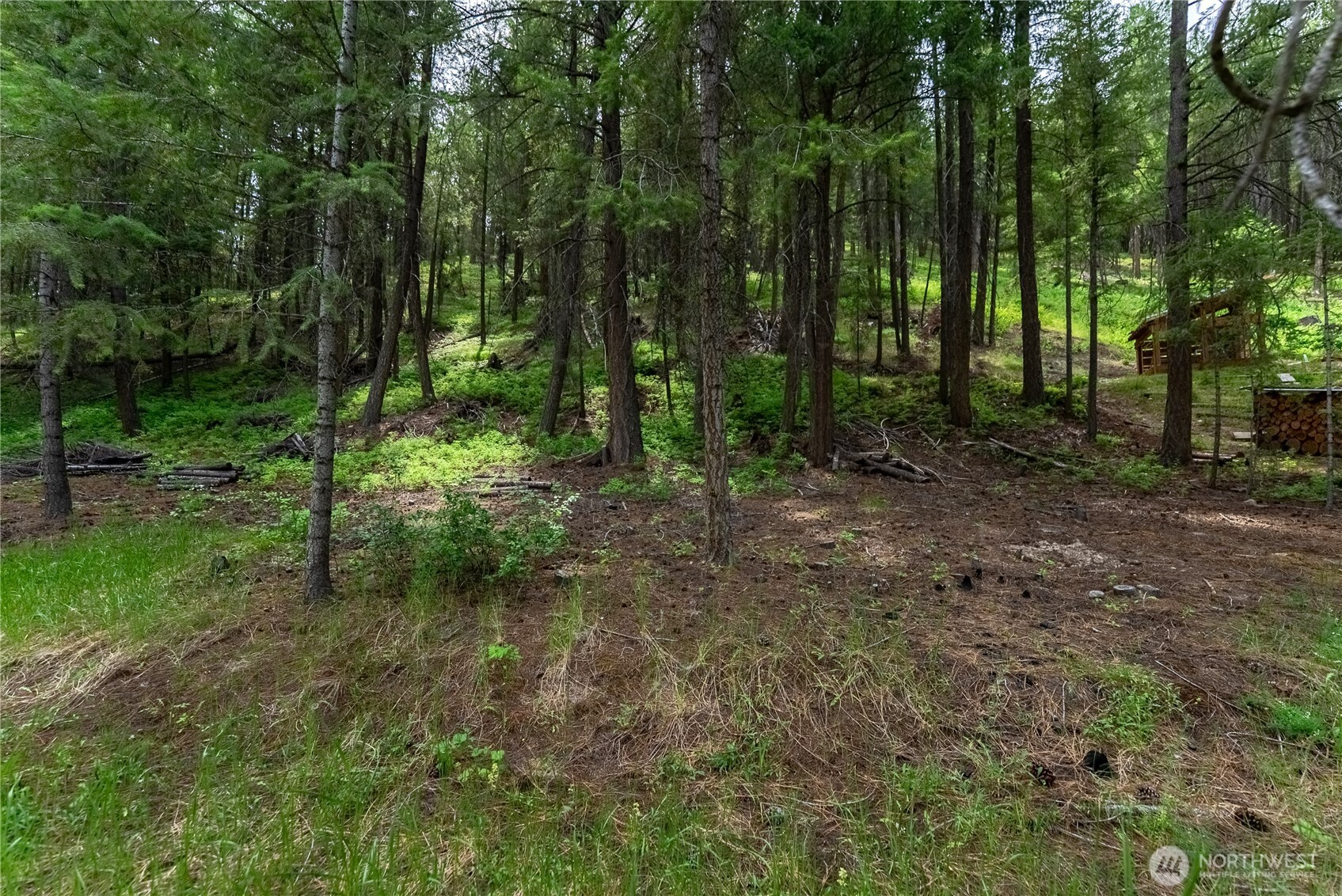 main property photo 13