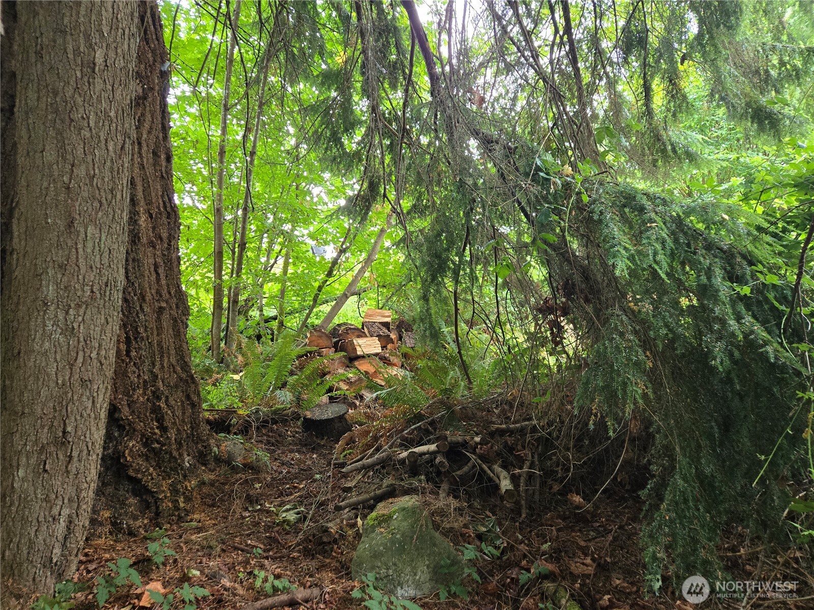 property viewer photo 12