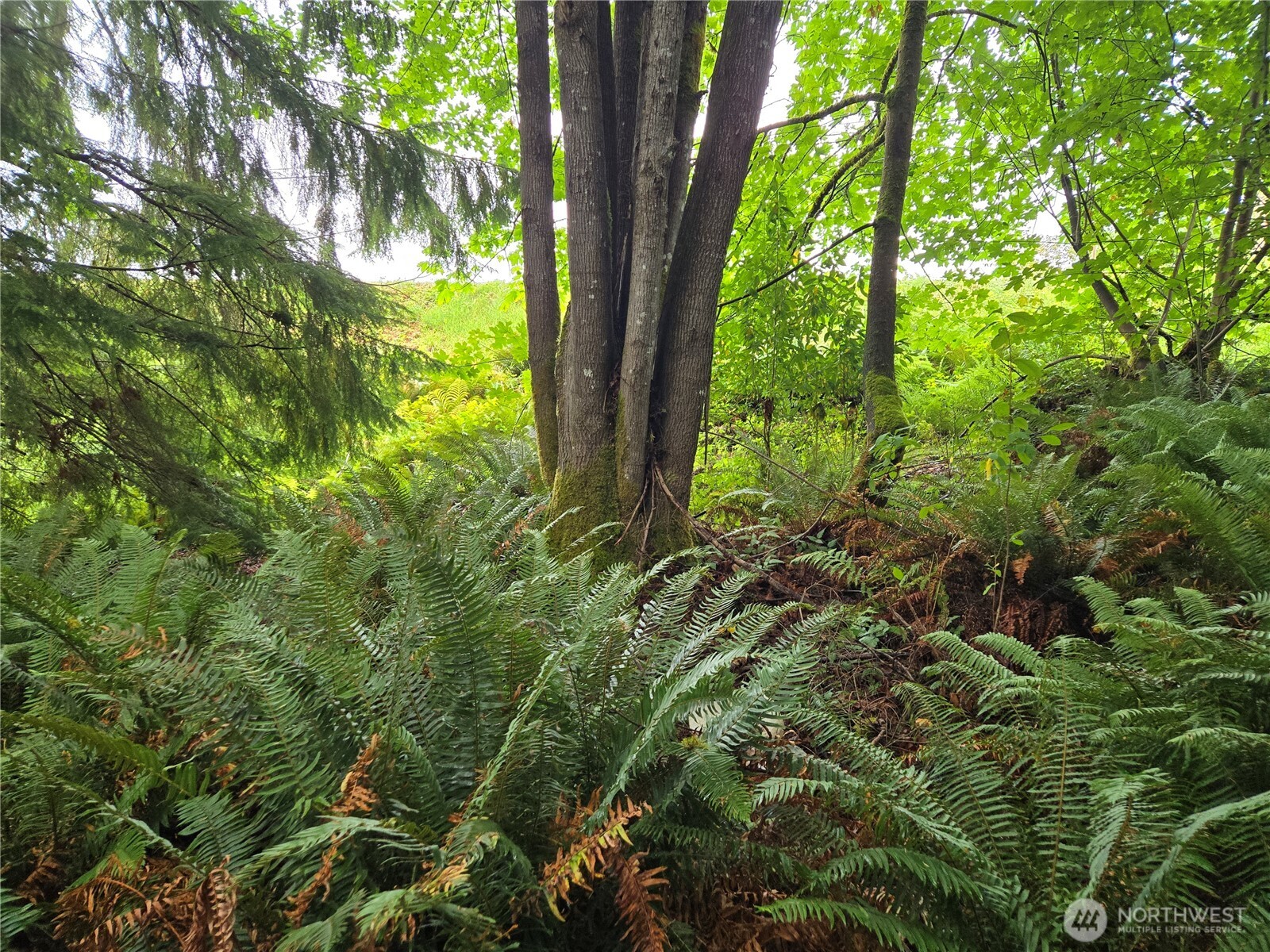 property viewer photo 14