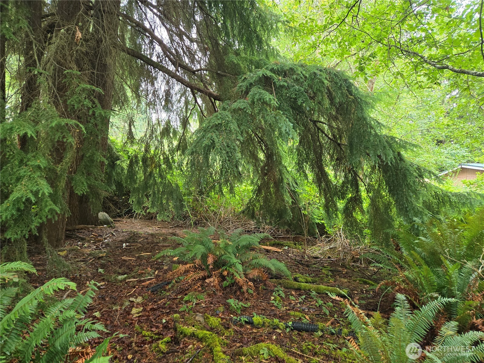 property viewer photo 15
