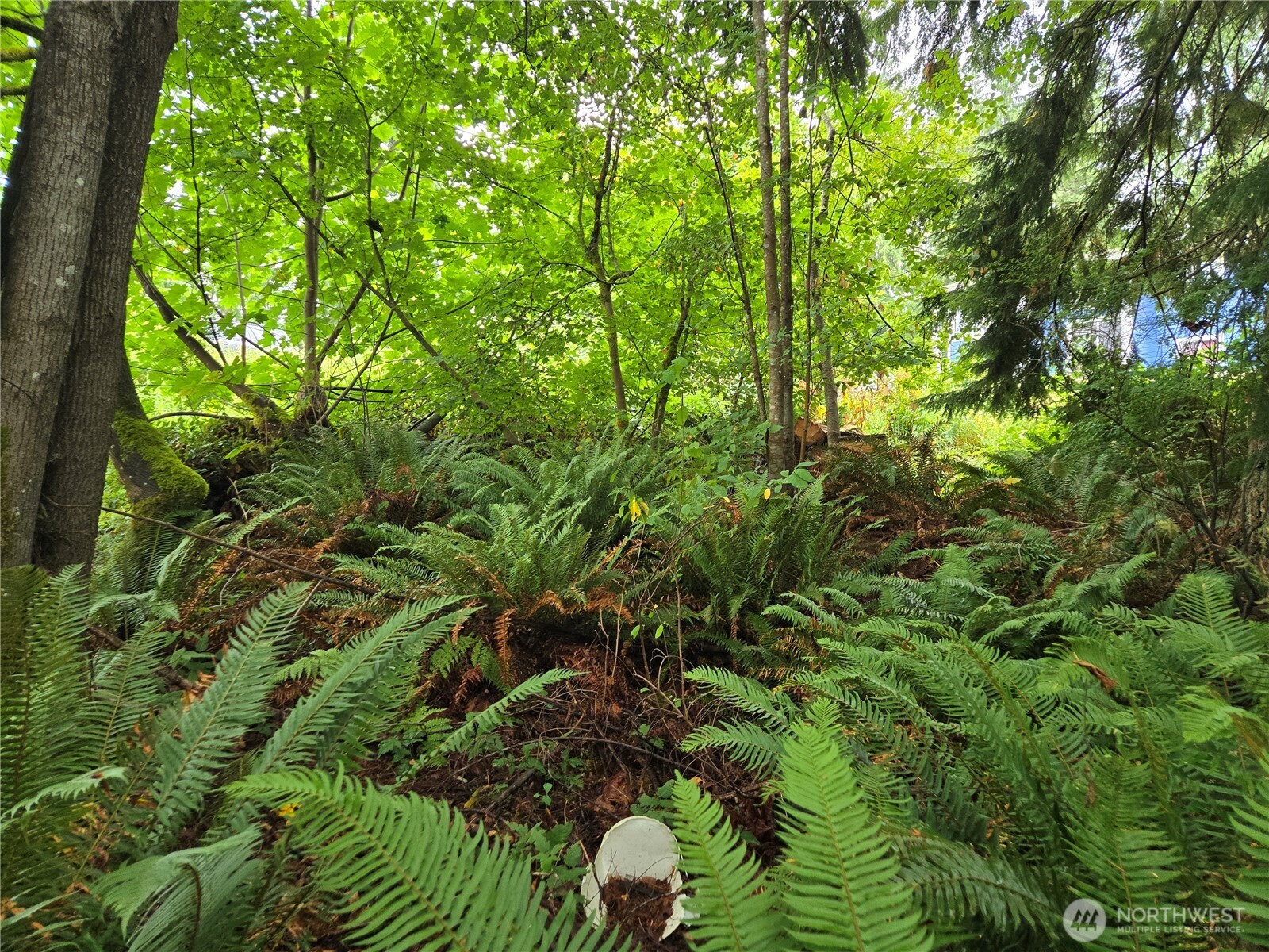 property viewer photo 16