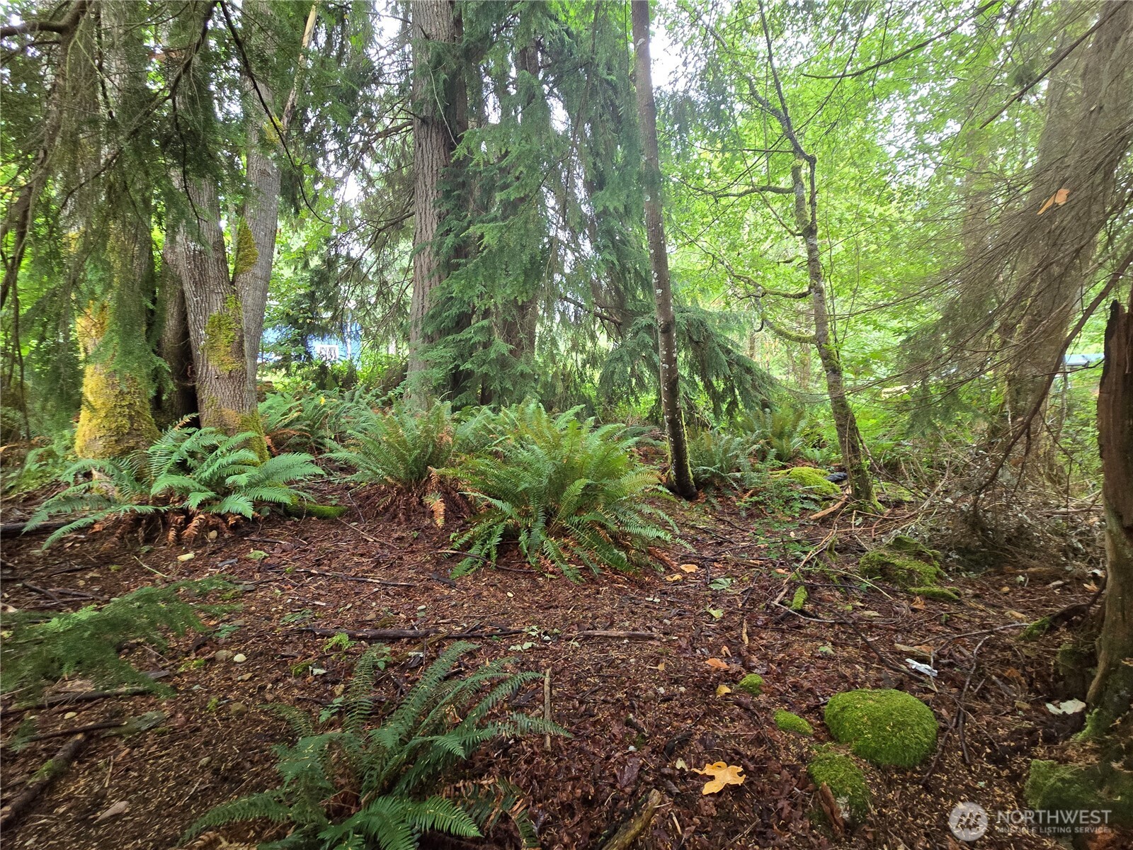 property viewer photo 17