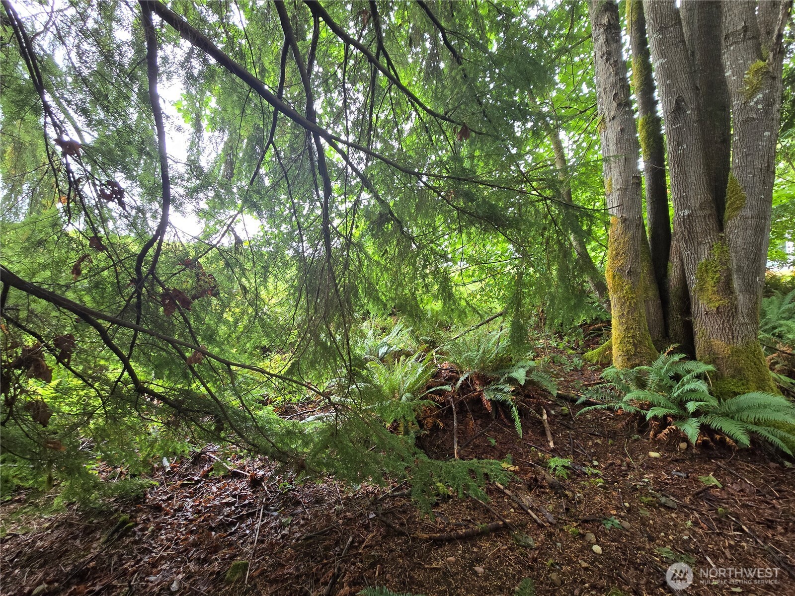 property viewer photo 18