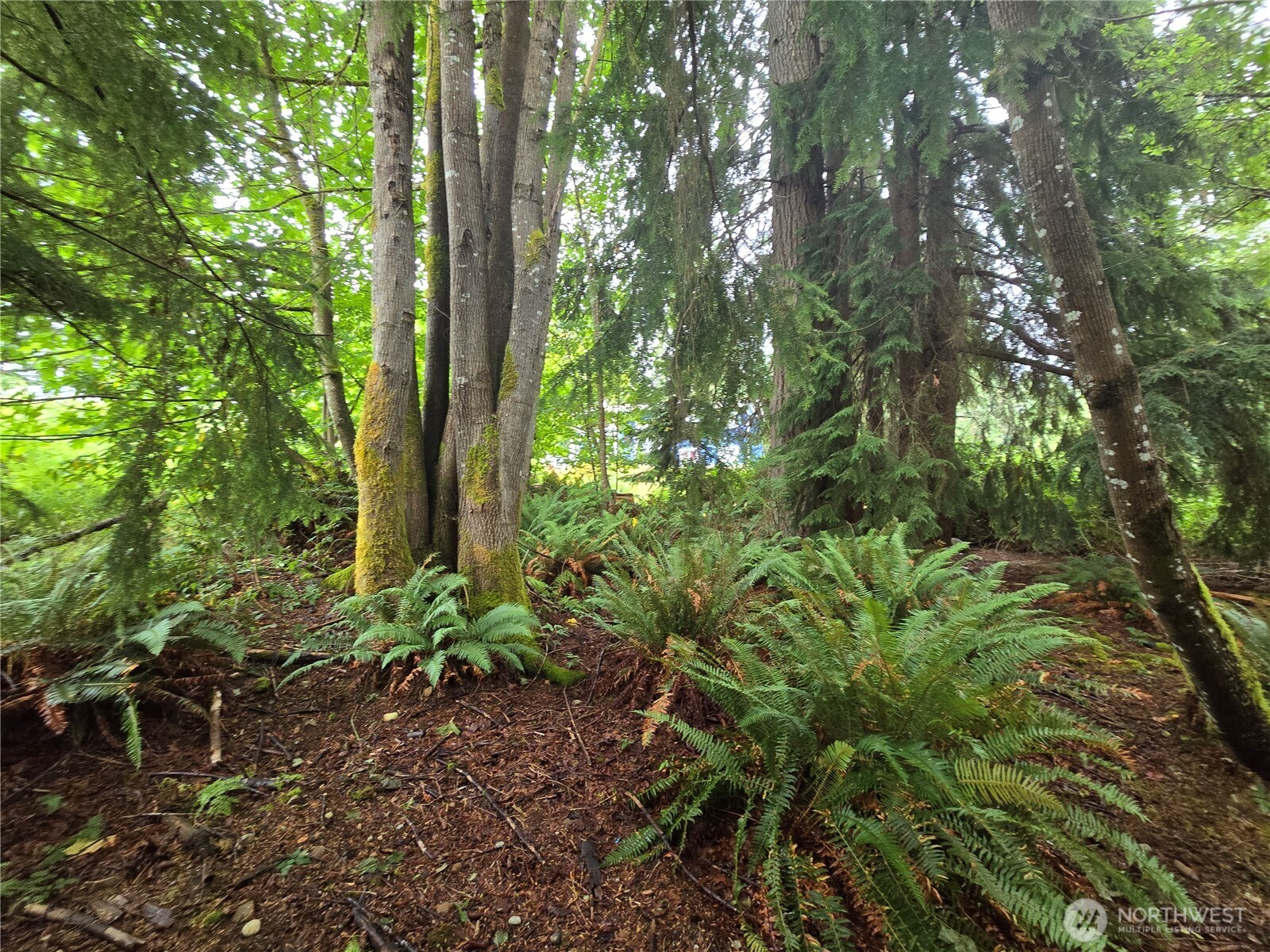 property viewer photo 19