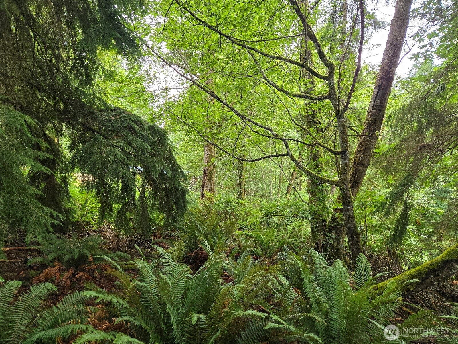 property viewer photo 20