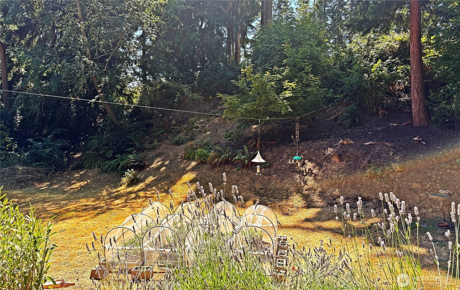 property viewer photo 30