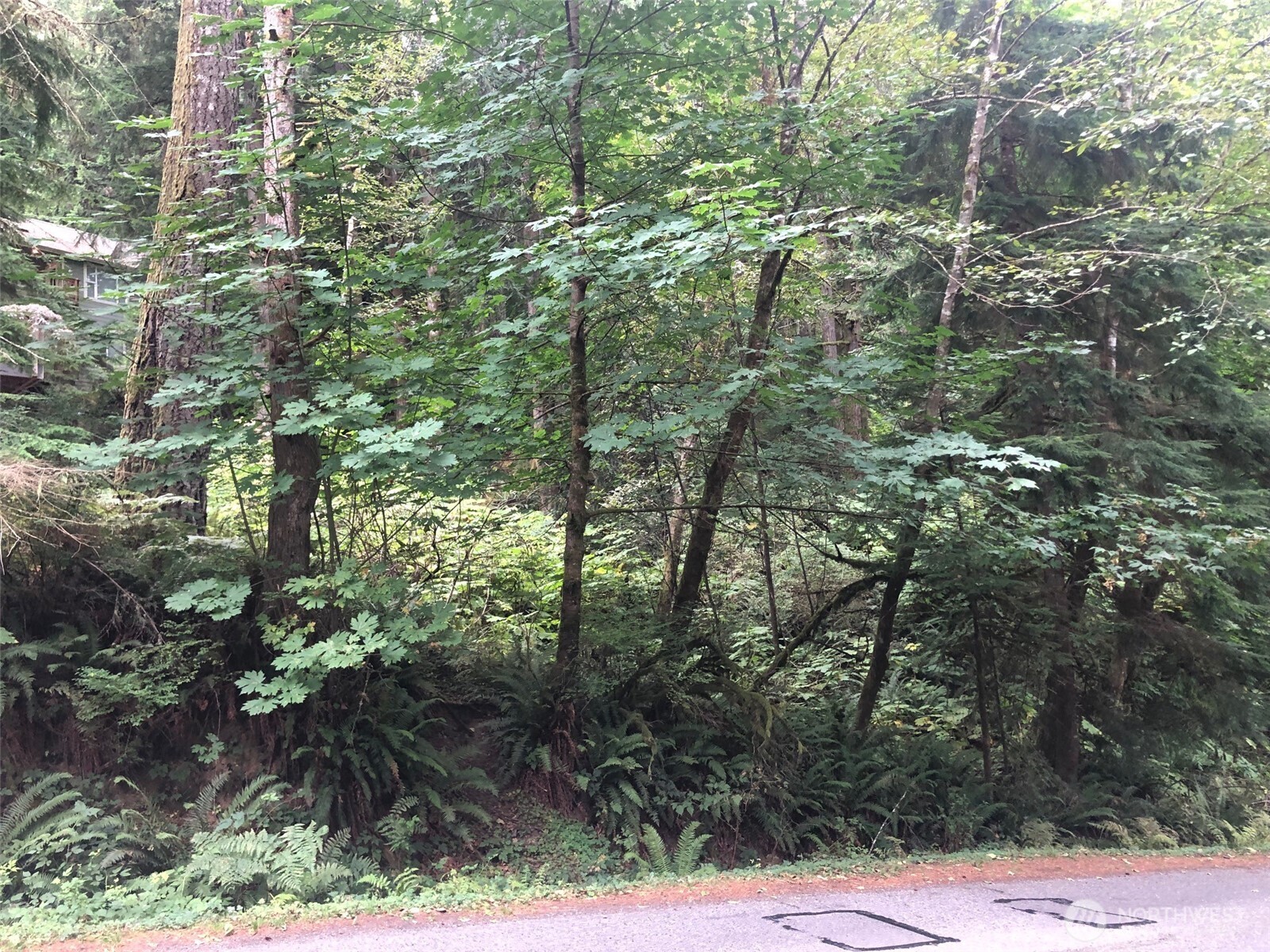 property viewer photo 1