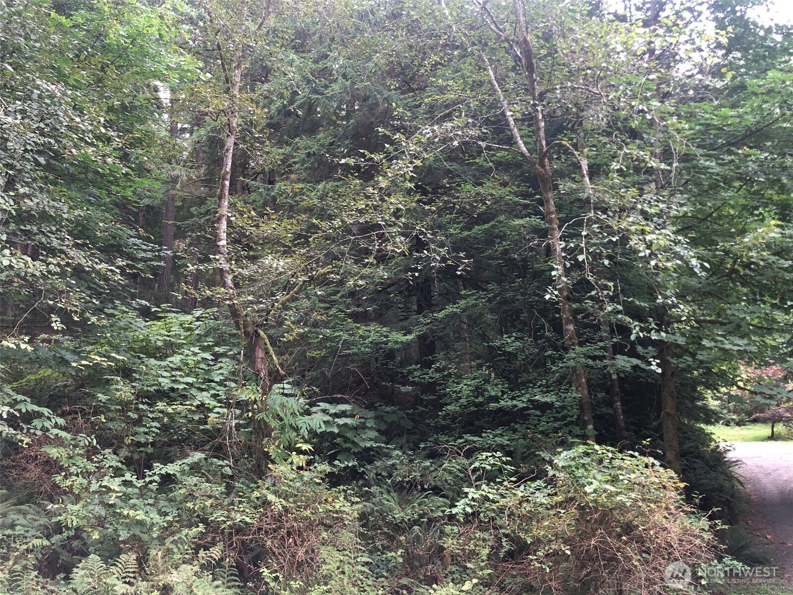 property viewer photo 2