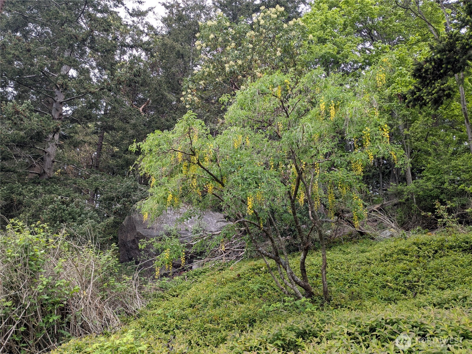 property viewer photo 31