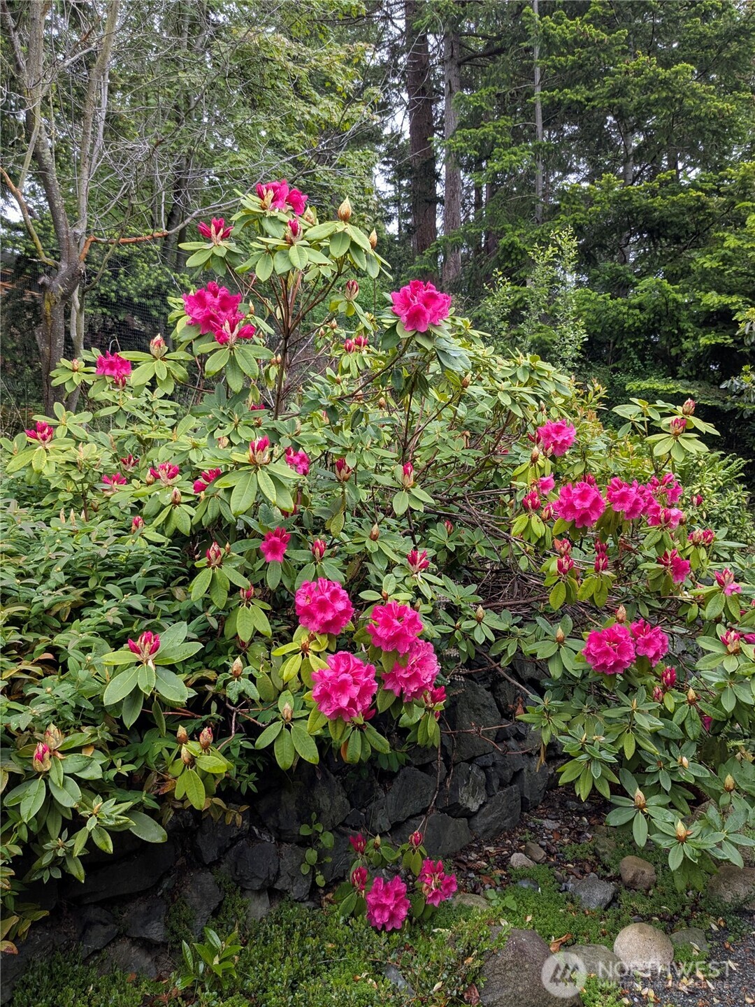 property viewer photo 32