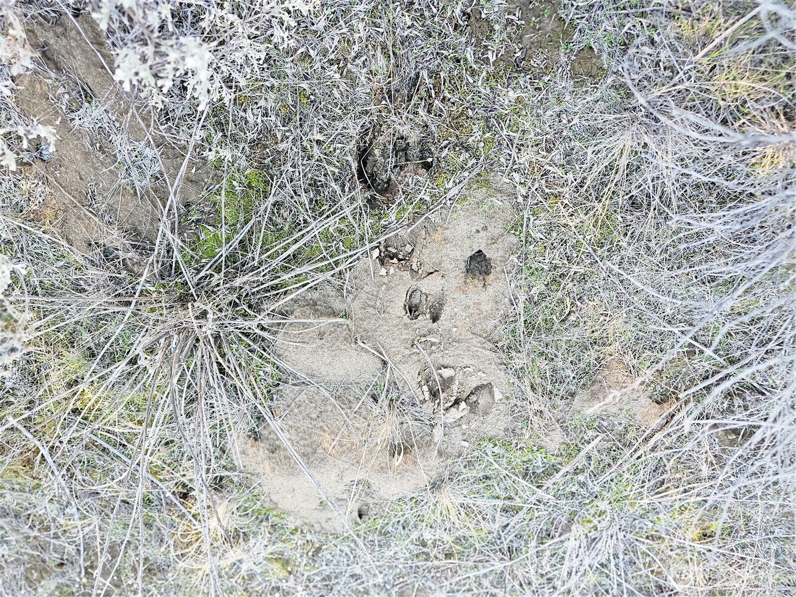 main property photo 23