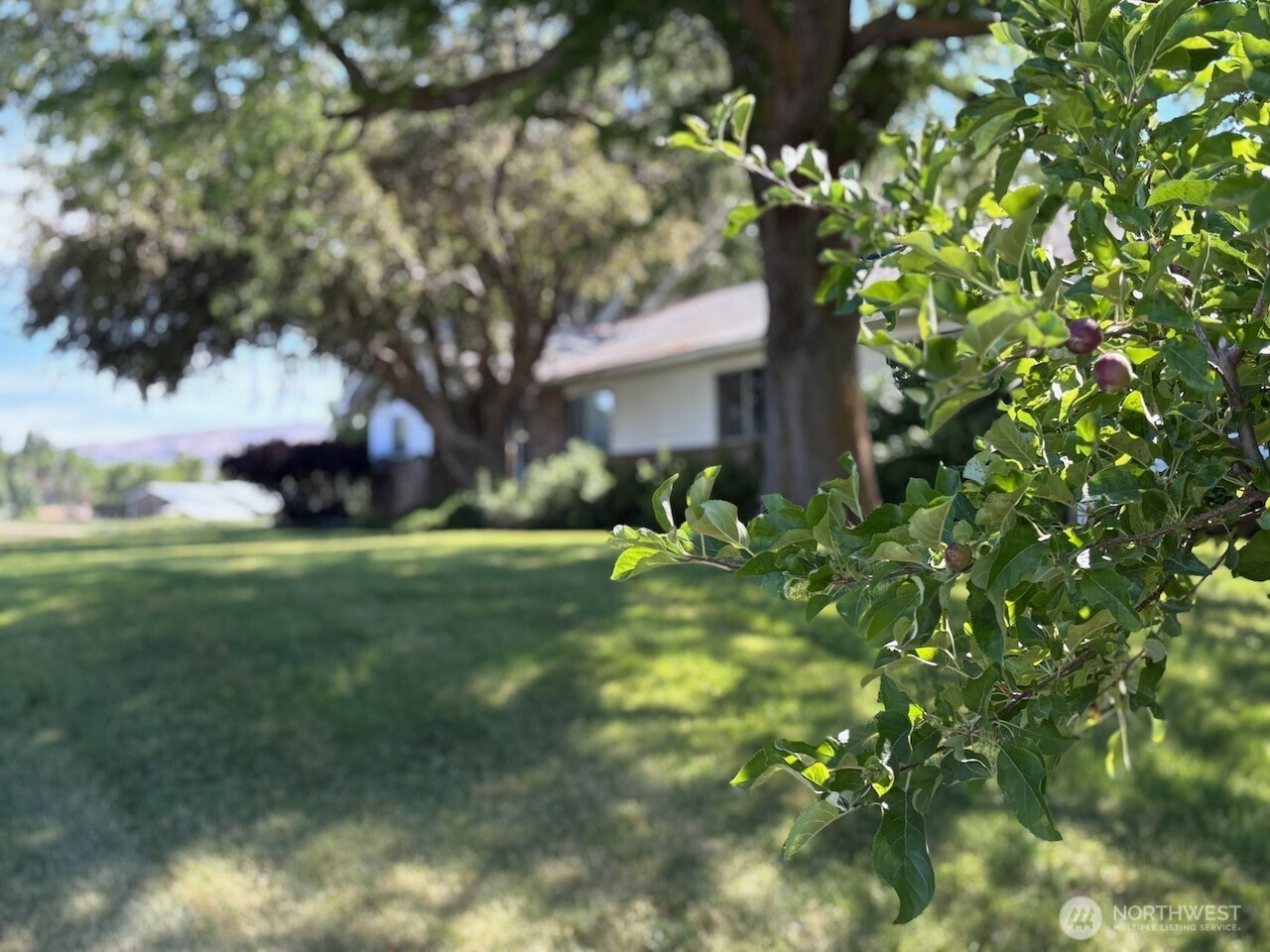 property viewer photo 4