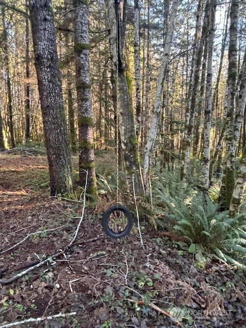 main property photo 9