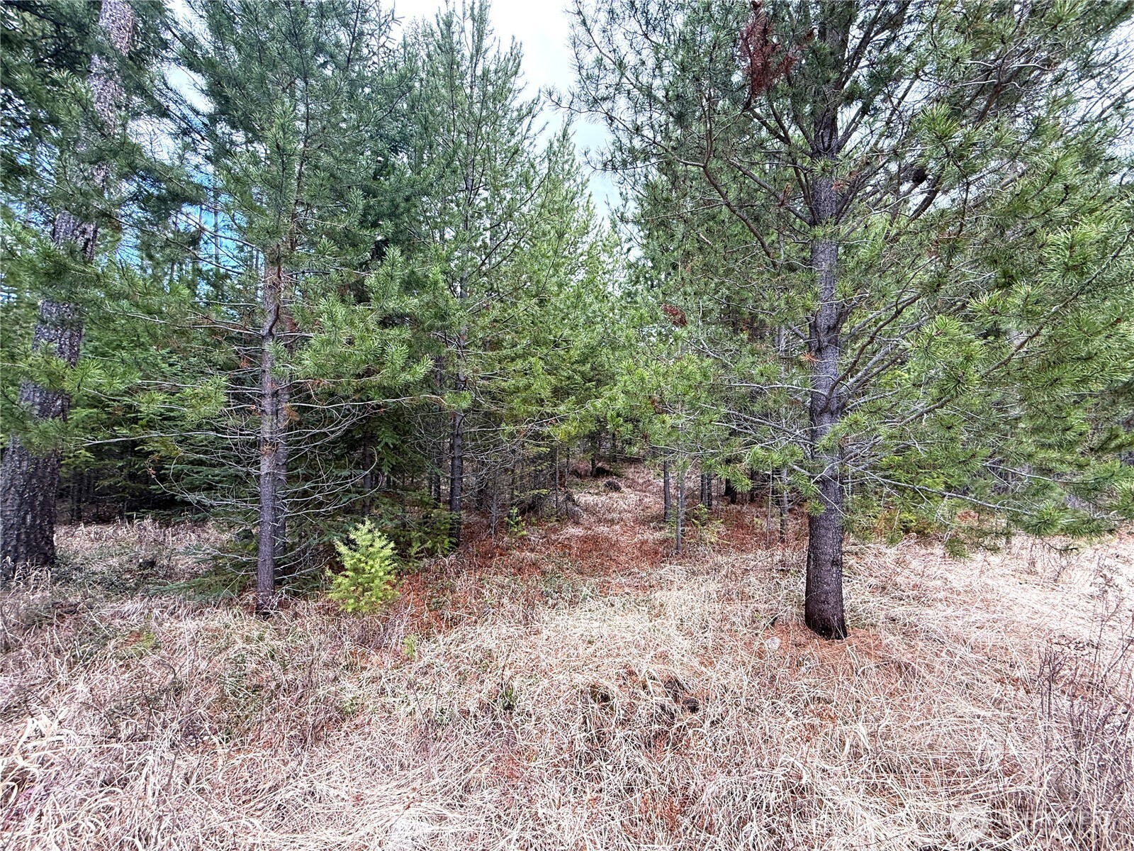 main property photo 26