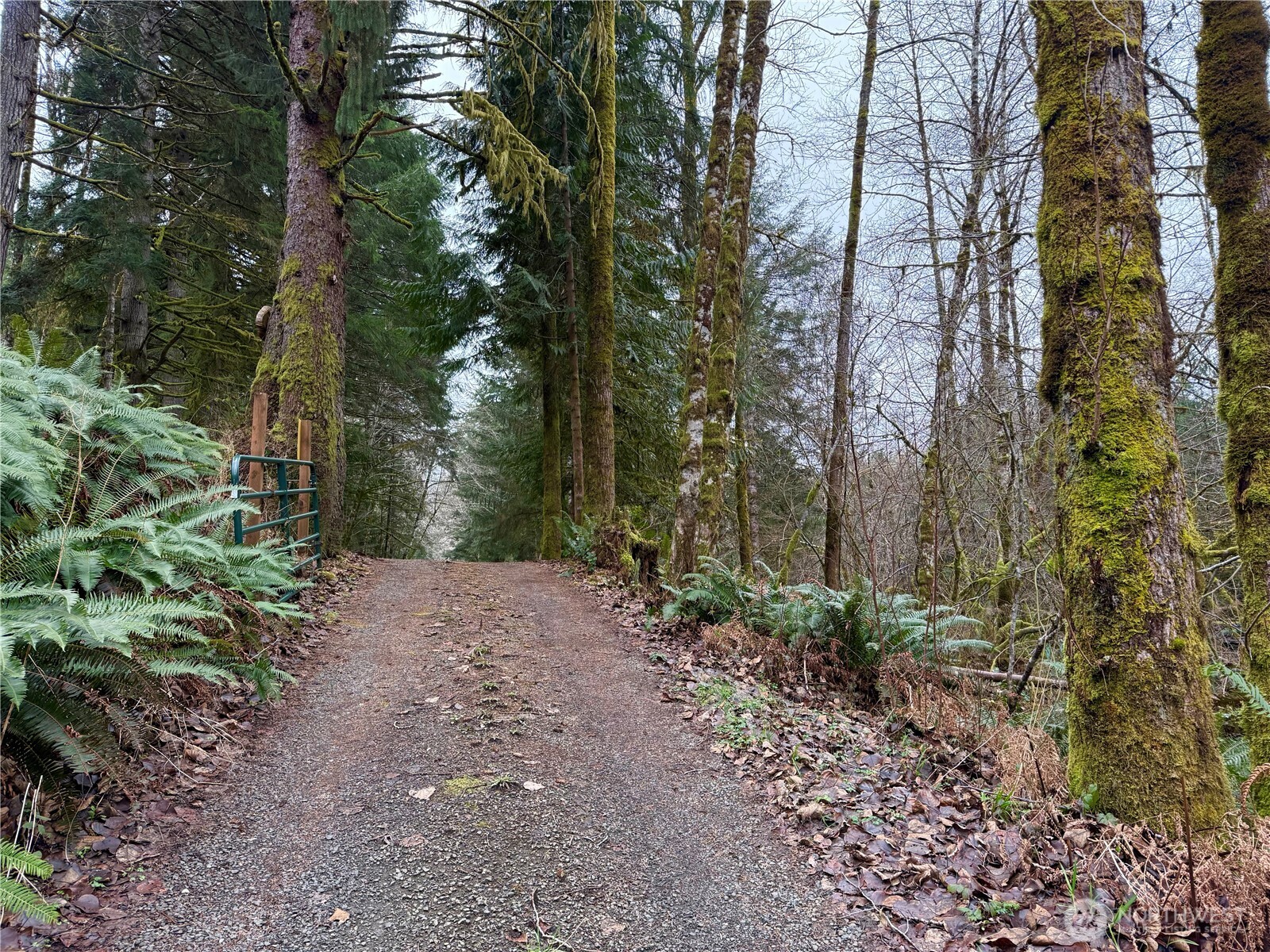 property viewer photo 15