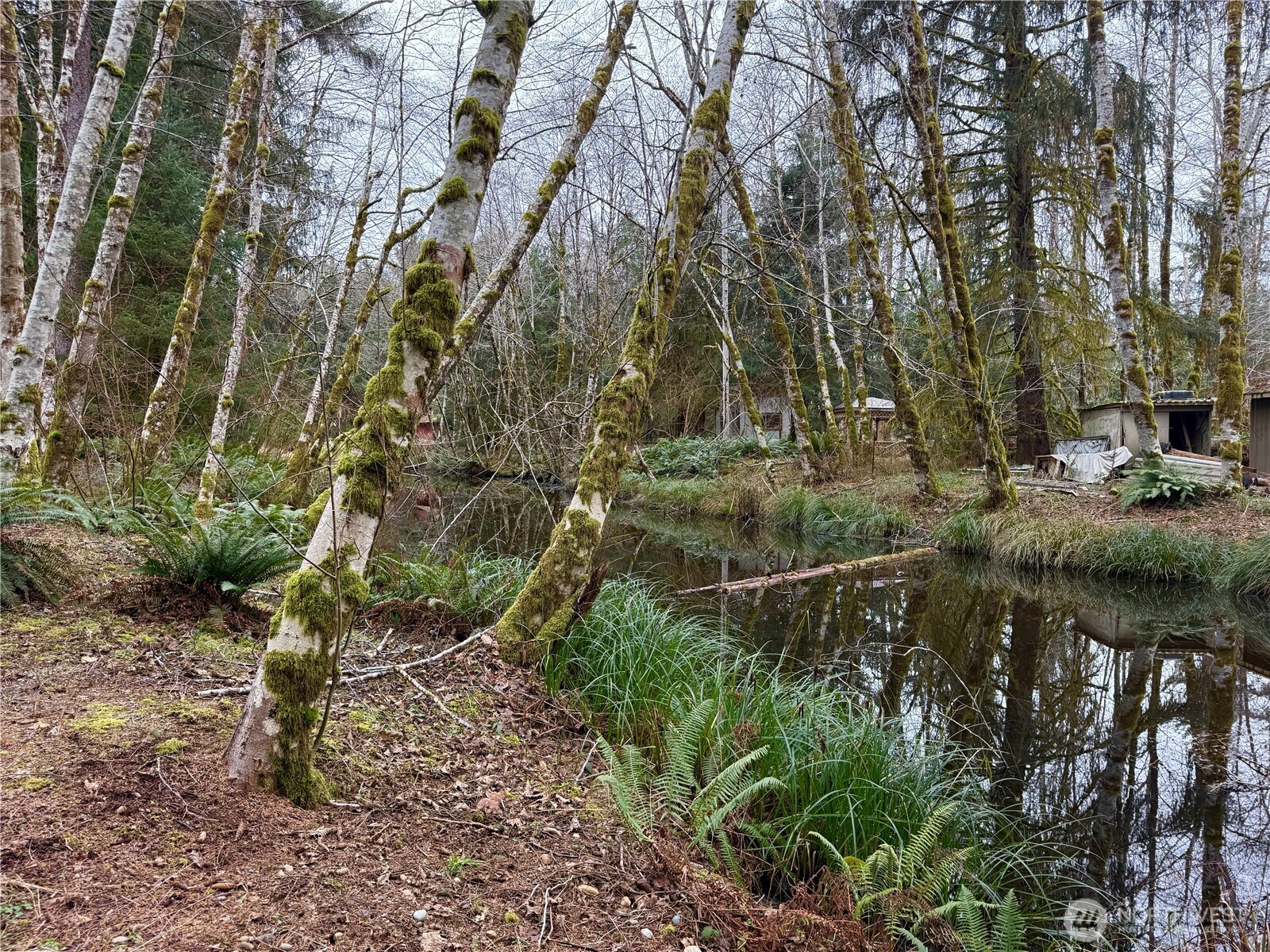 property viewer photo 20