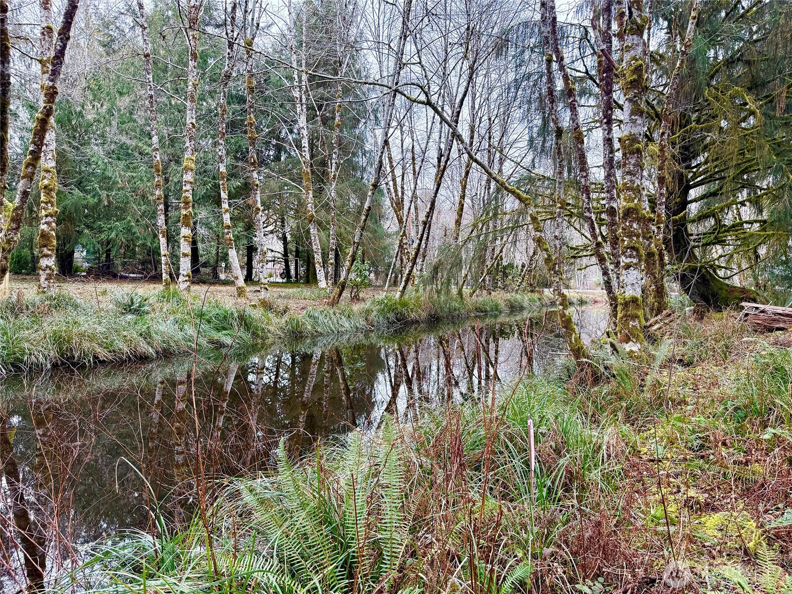 property viewer photo 23