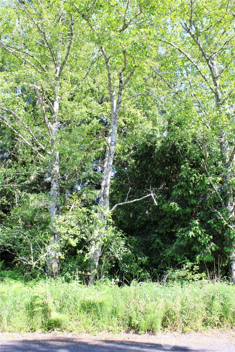 main property photo 8