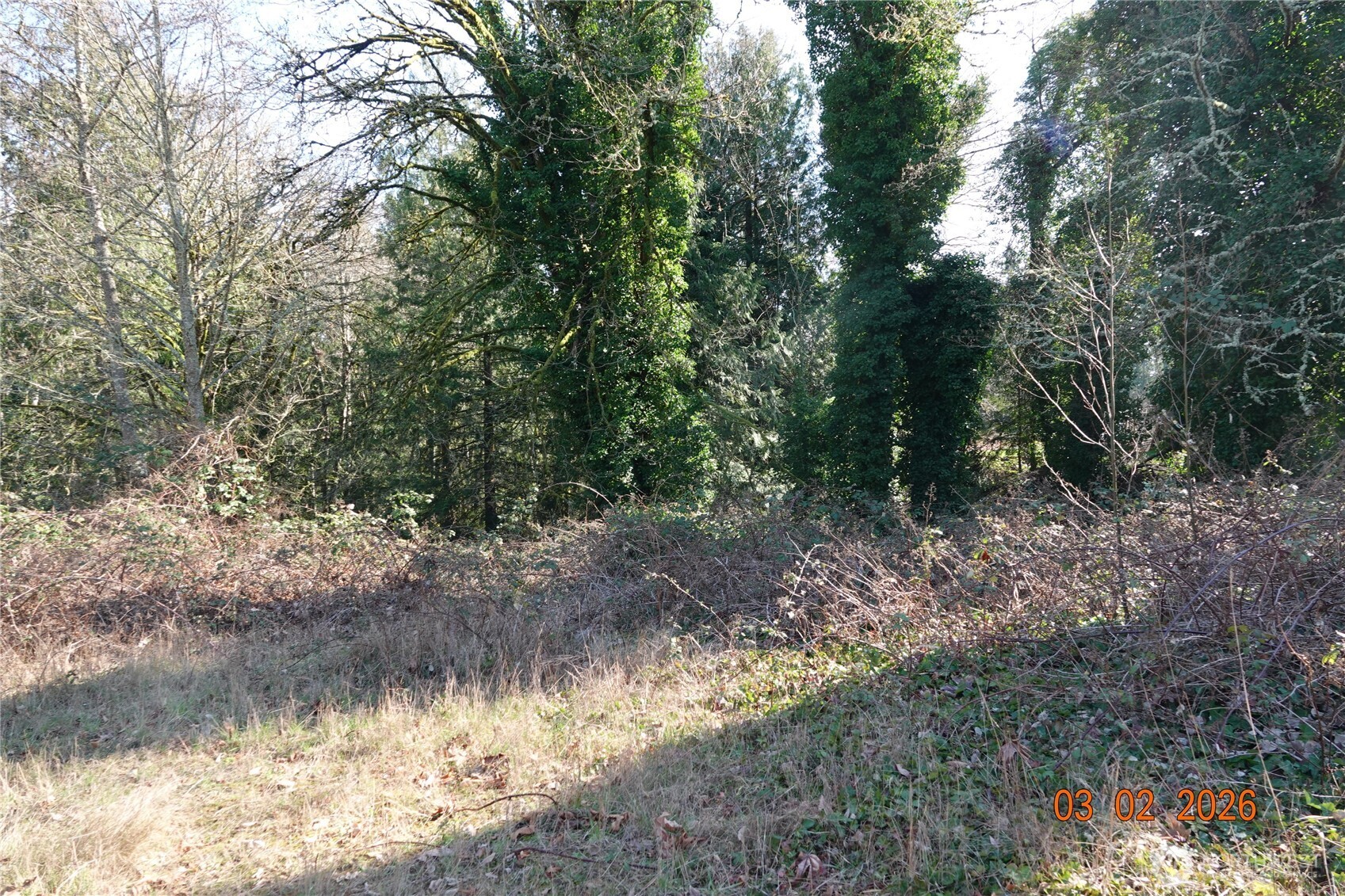 main property photo 10