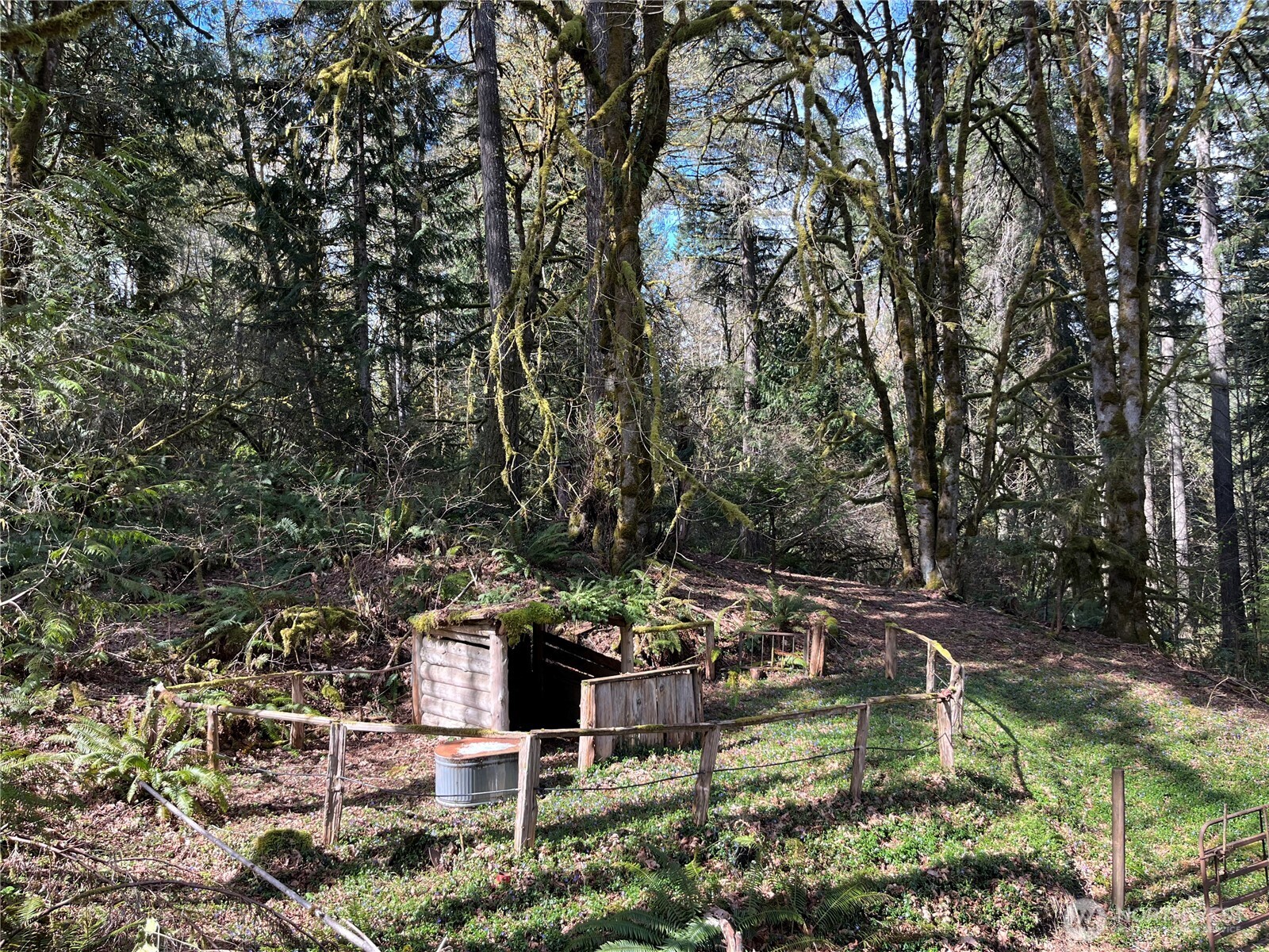 main property photo 32