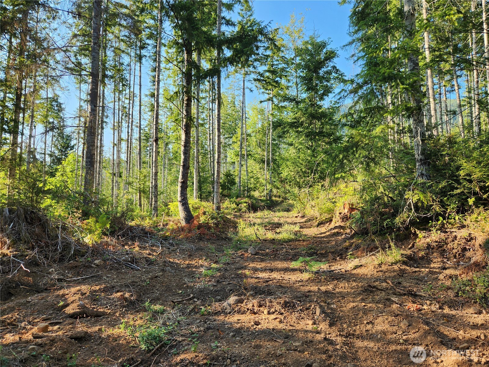 main property photo 8