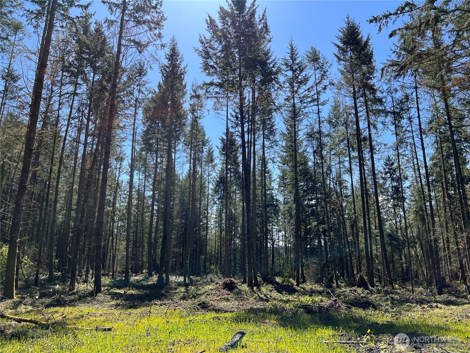 property viewer photo 13