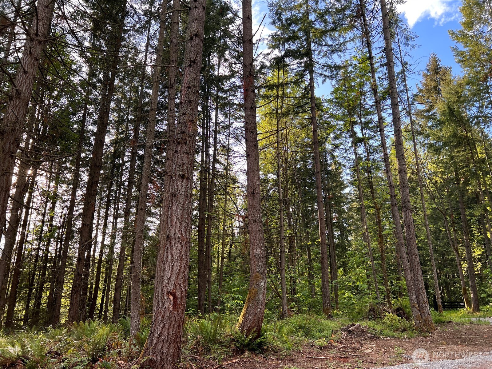 property viewer photo 17