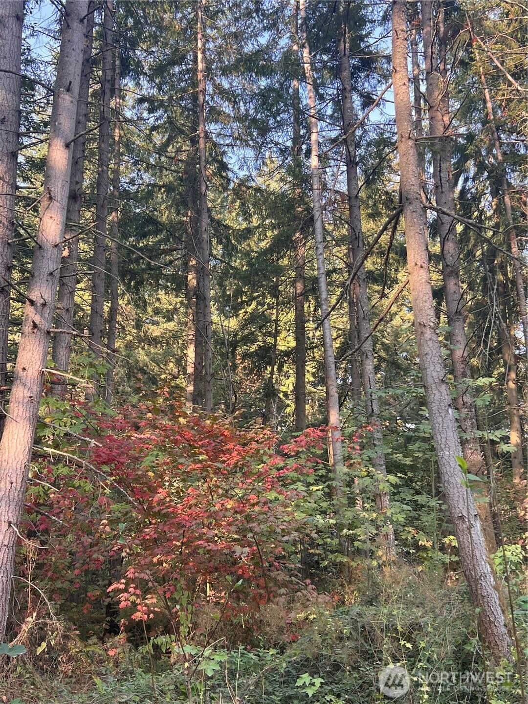 property viewer photo 18