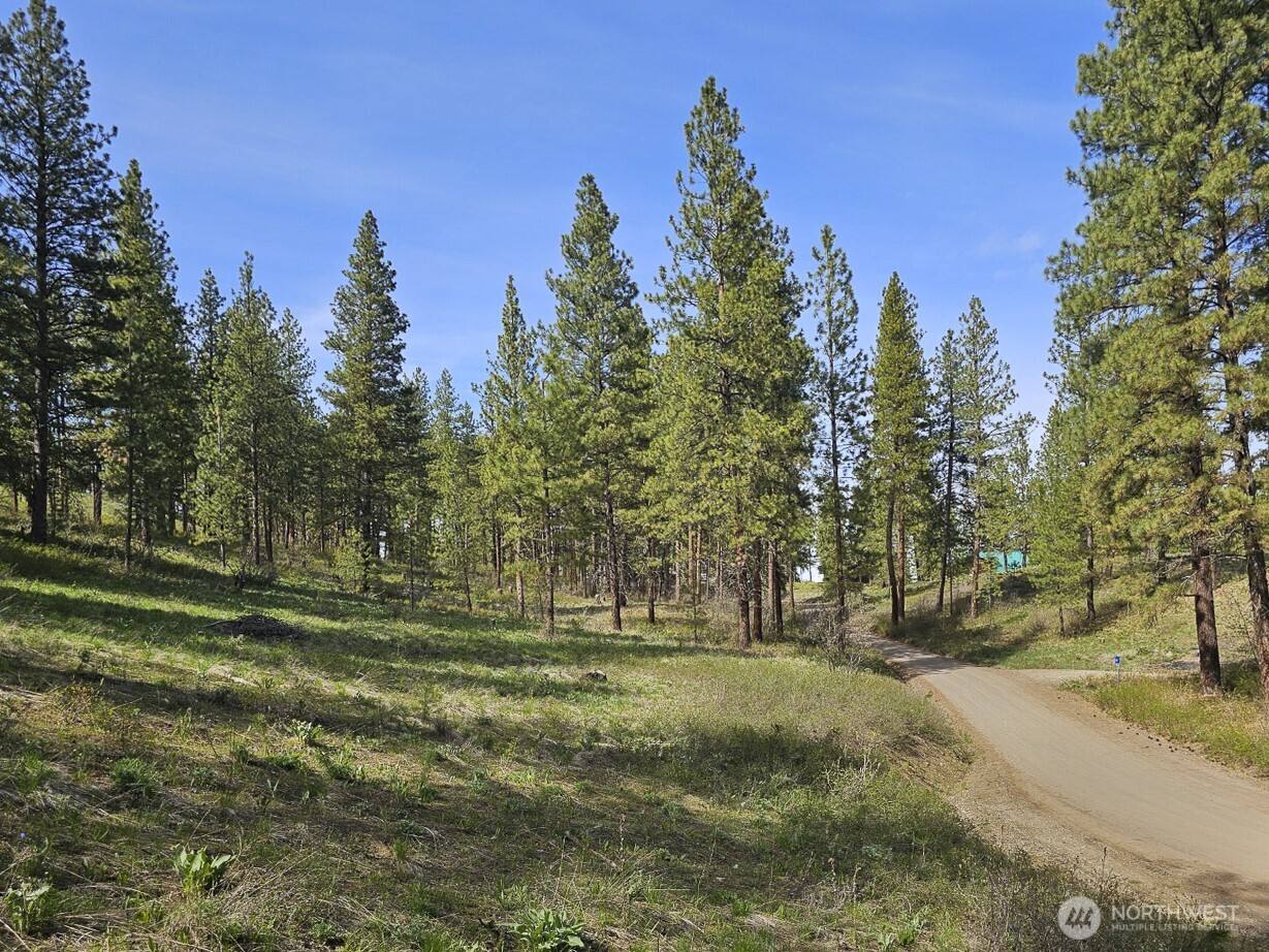 main property photo 30