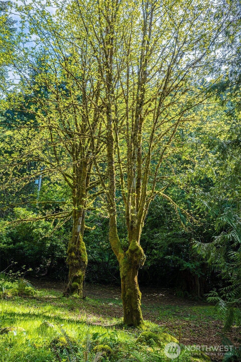 property viewer photo 12