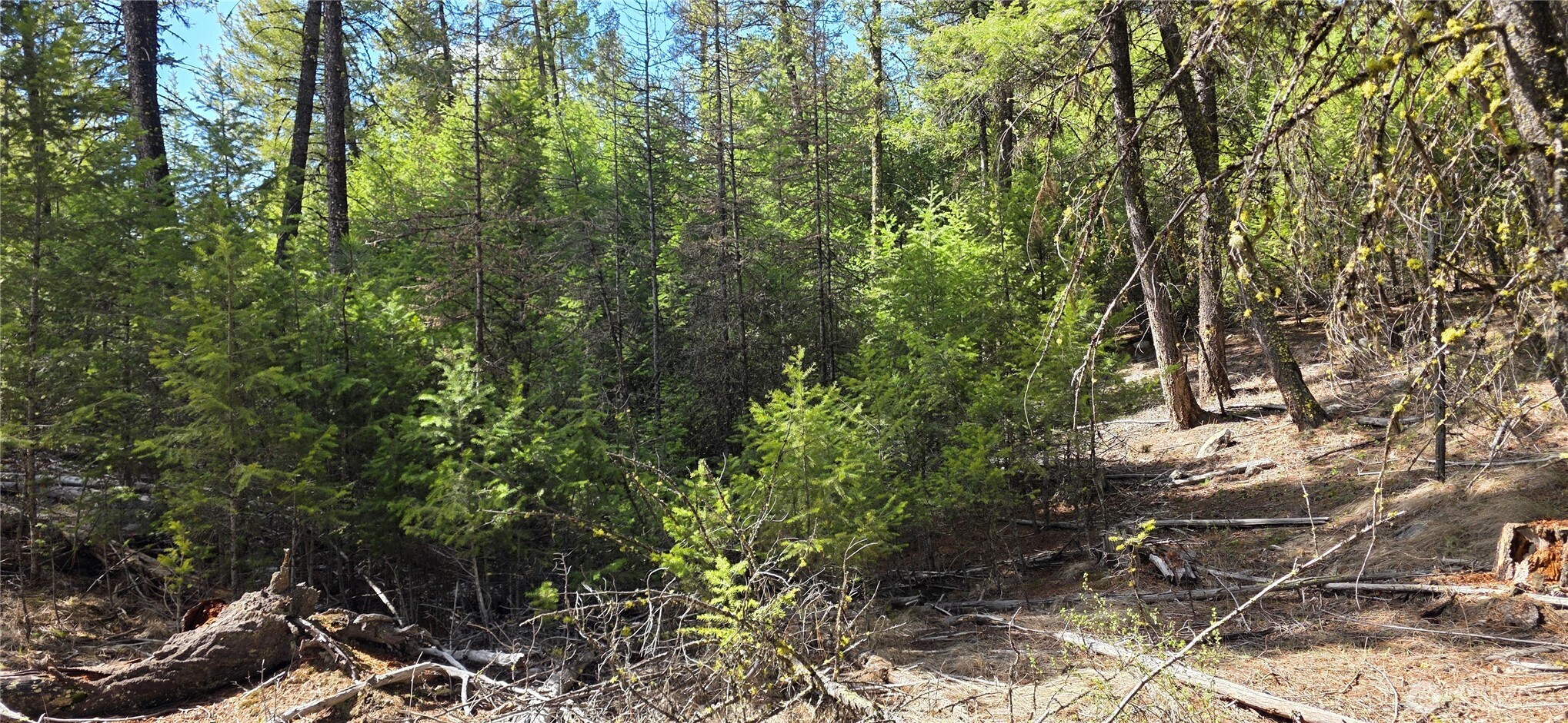 main property photo 7