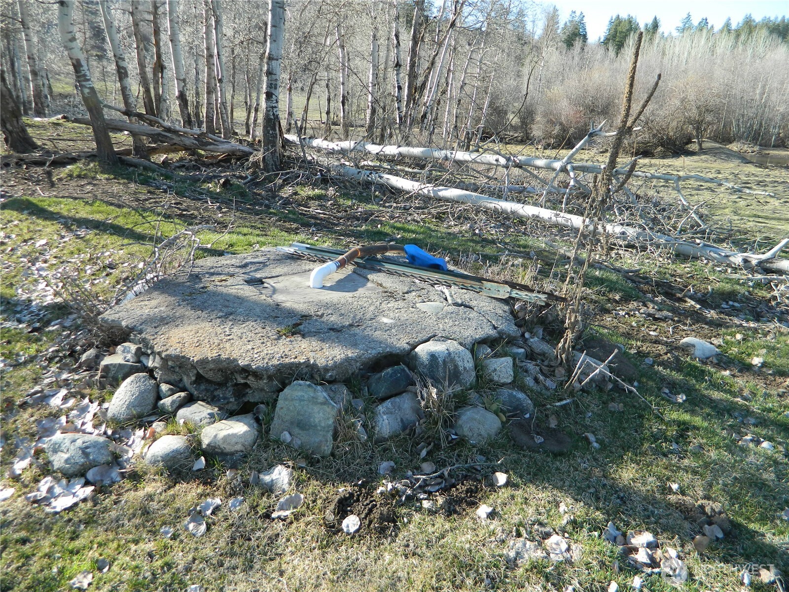 main property photo 9