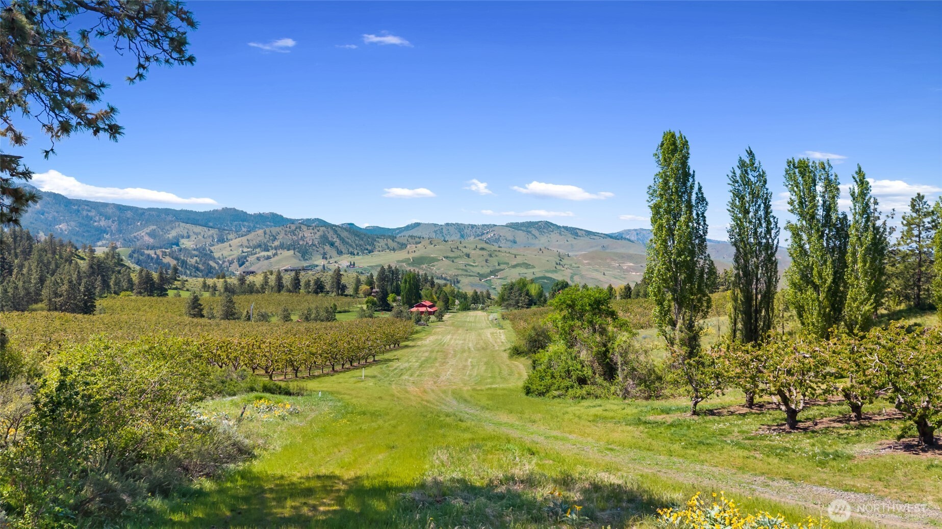 main property photo 27