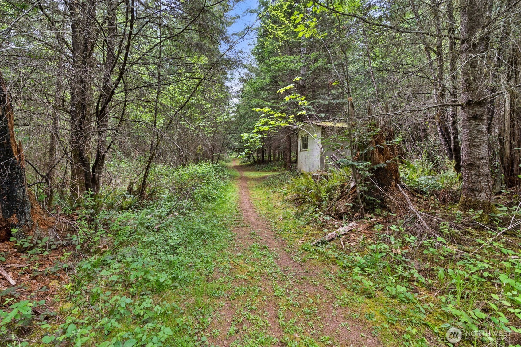 main property photo 32