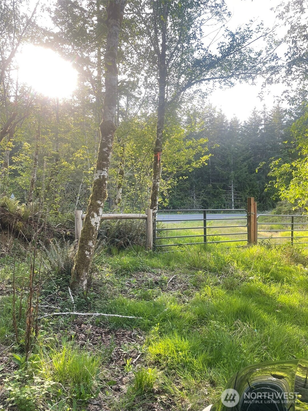 main property photo 34