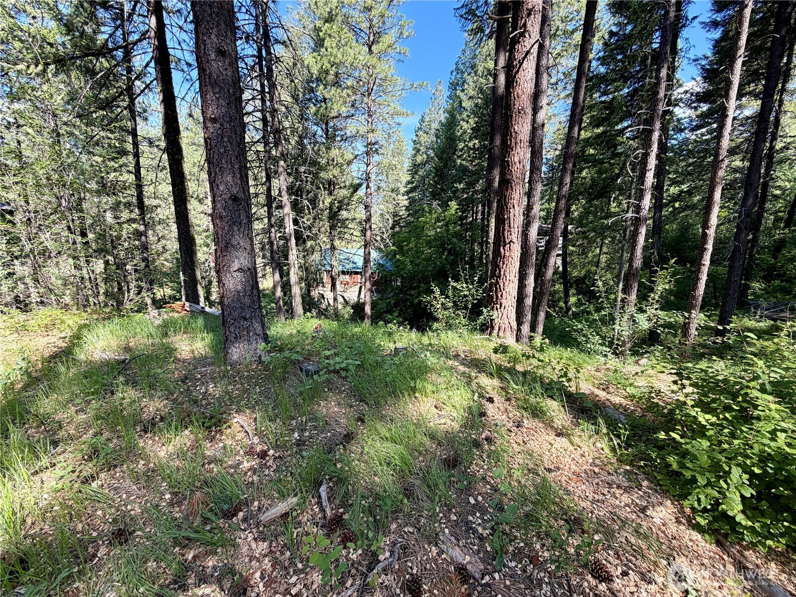 main property photo 8