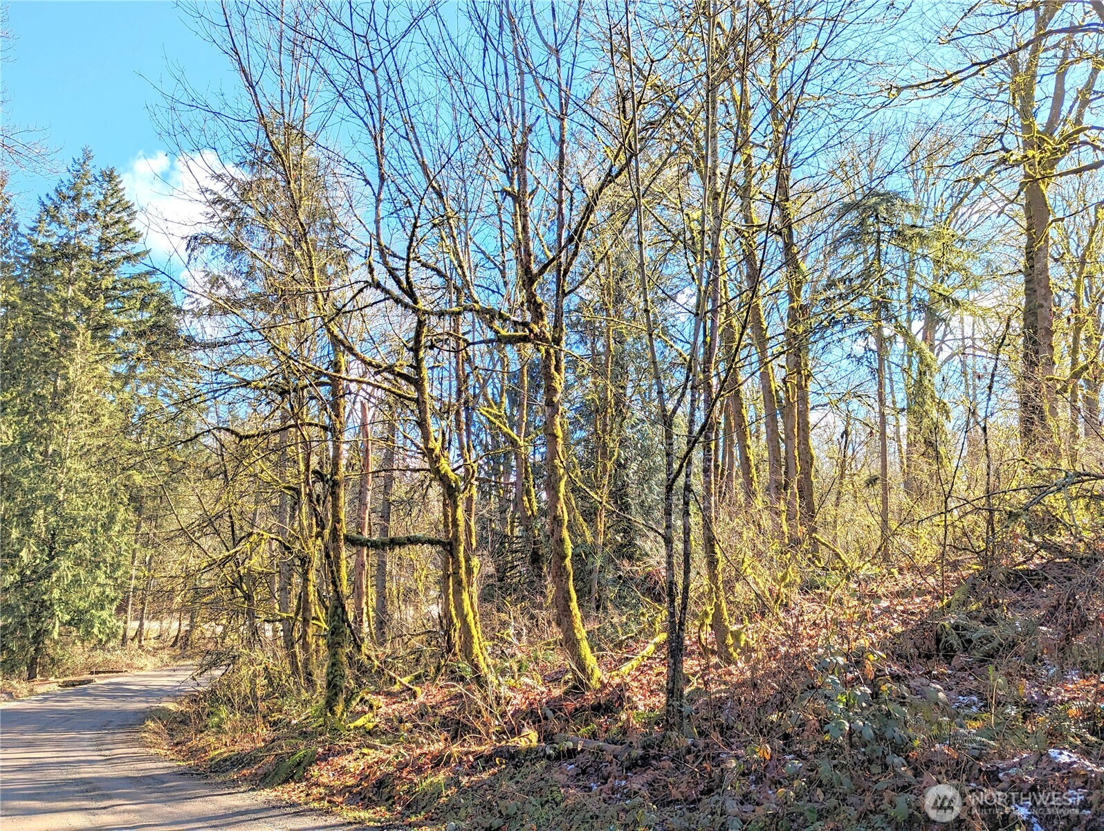 main property photo 24