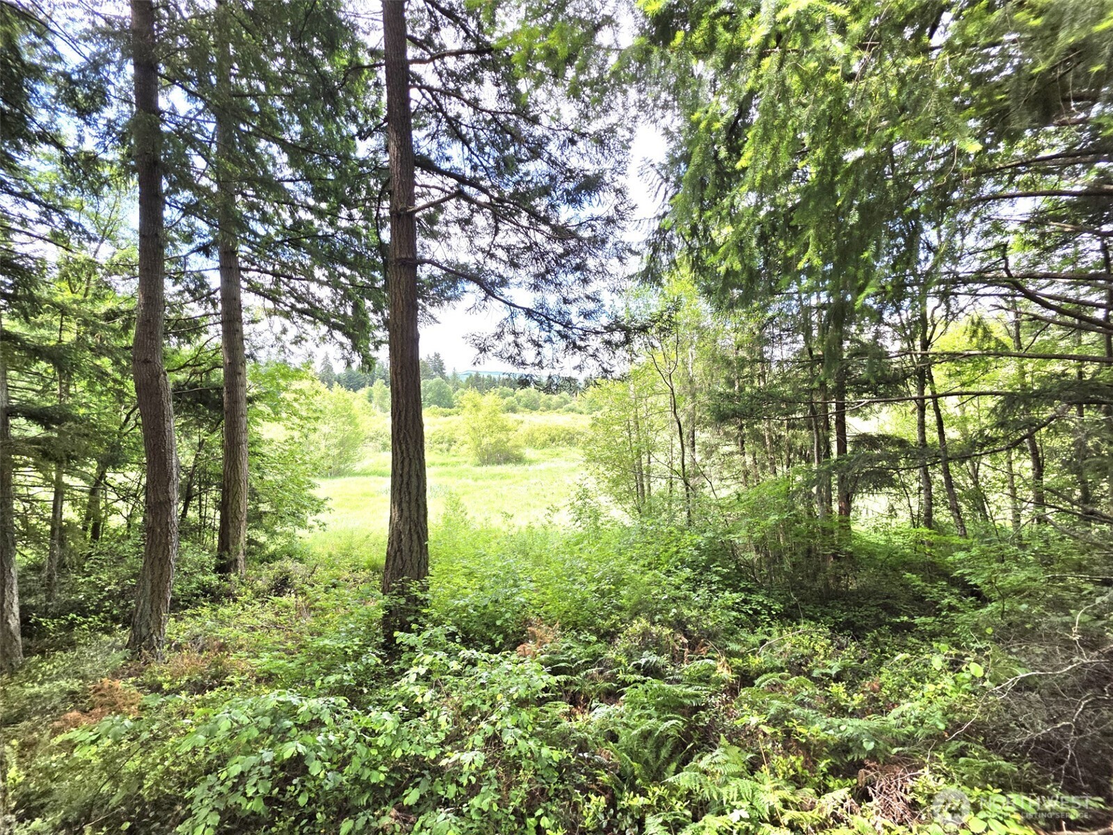 property viewer photo 24