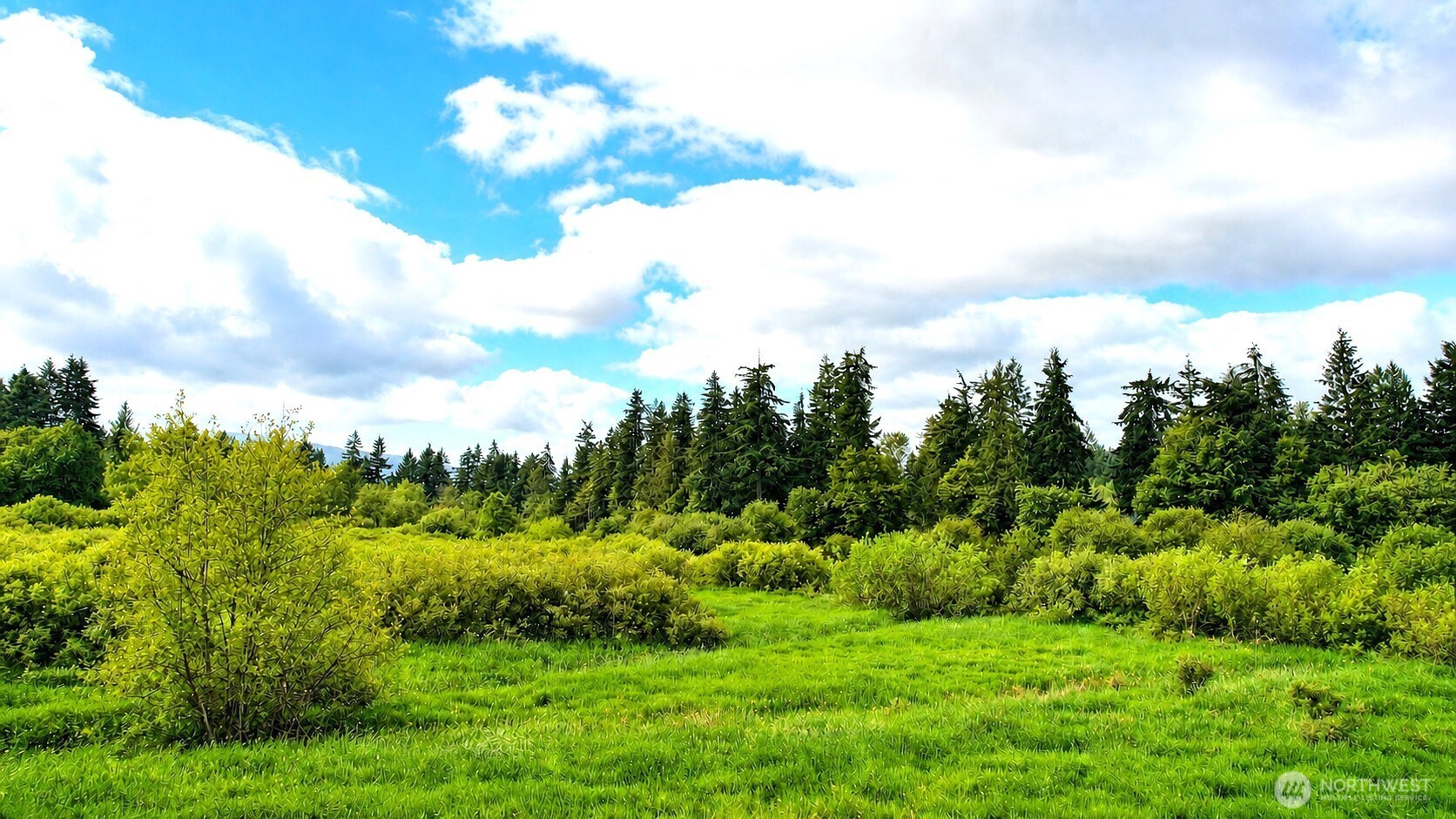 property viewer photo 25